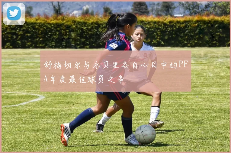舒梅切尔与永贝里各自心目中的PFA年度最佳球员之争